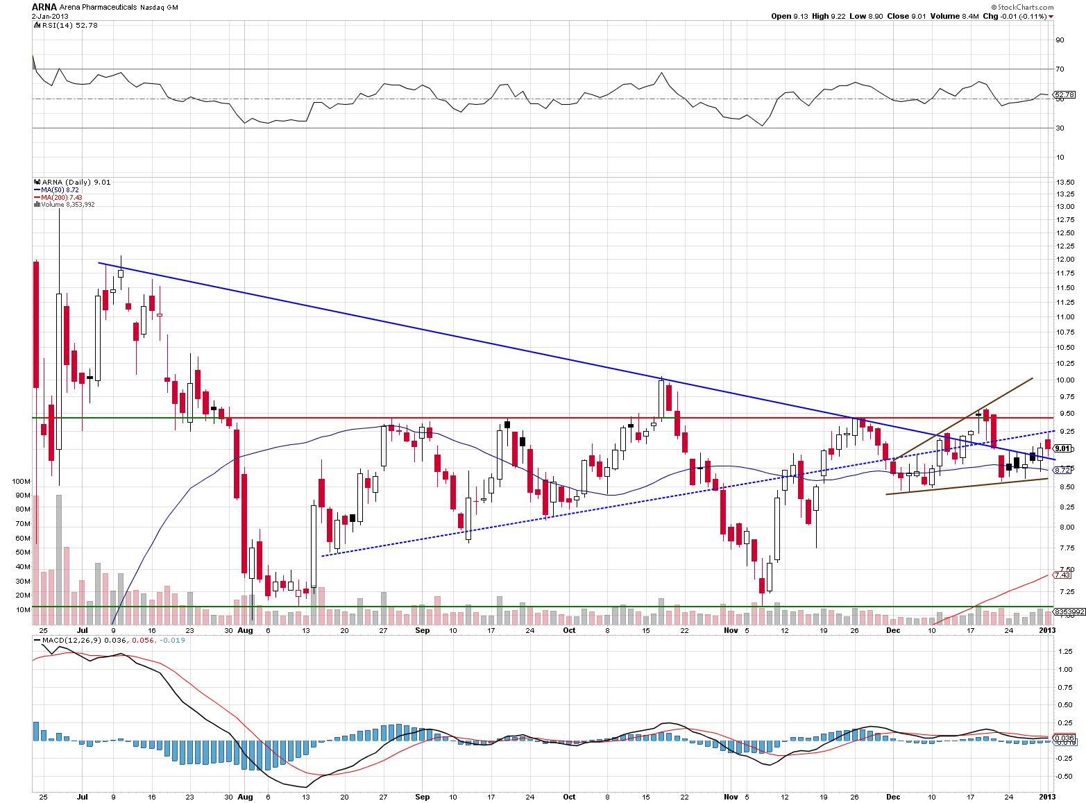 Arna stock options